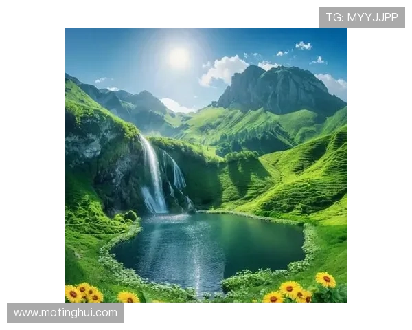 幽静深邃的青木原：一个关于生命、自然与思考的探索之旅