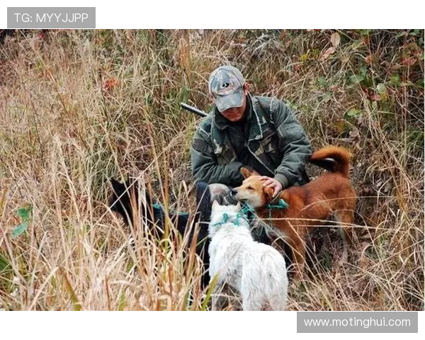 猎人们：在都市丛林中，我们追逐的究竟是什么？